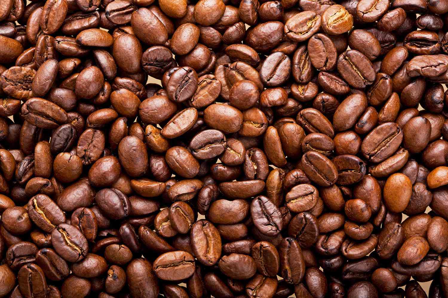 Coffee Season 26: Ready or not?